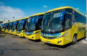 Autobuses Caribe Tours y Metro no están viajando a Haití - Santiago es  Noticia